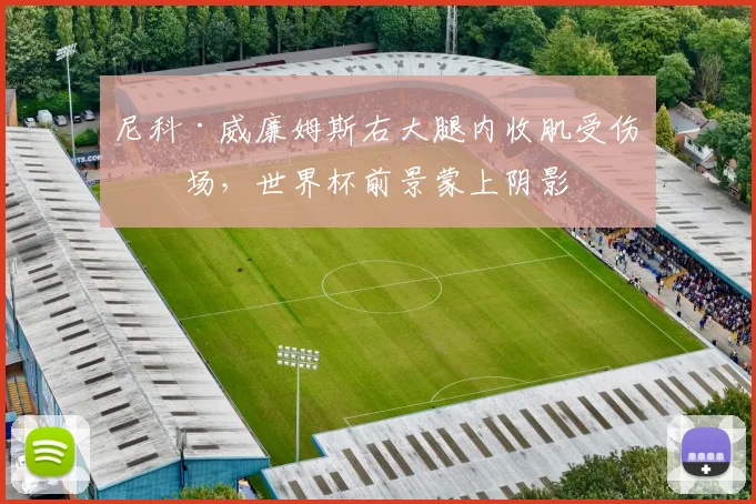 尼科·威廉姆斯右大腿内收肌受伤离场,世界杯前景蒙上阴影