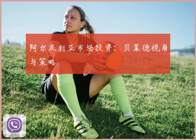阿尔及利亚市场投资：贝莱德视角与策略